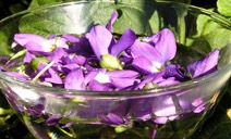 Violets